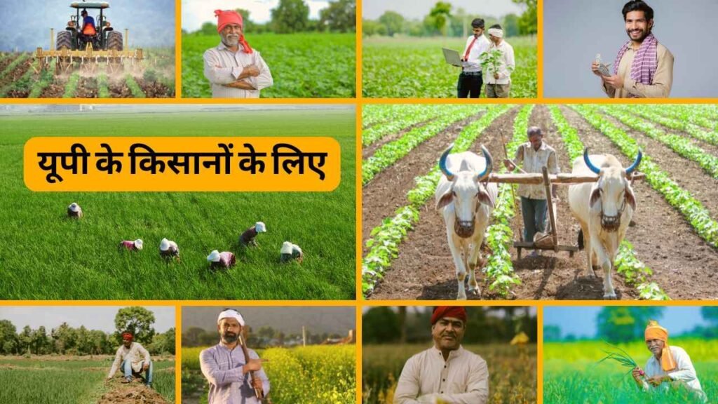 यूपी के किसानों के लिए 30 ताजा Updates! | UP Kisan News Today | Ayodhya, Sugarcane, PM Kisan, Weather Alert